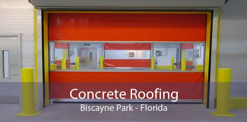 Concrete Roofing Biscayne Park - Florida
