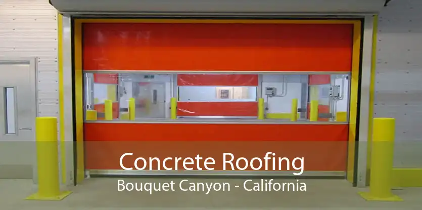 Concrete Roofing Bouquet Canyon - California