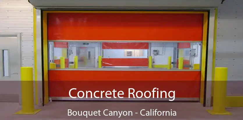 Concrete Roofing Bouquet Canyon - California