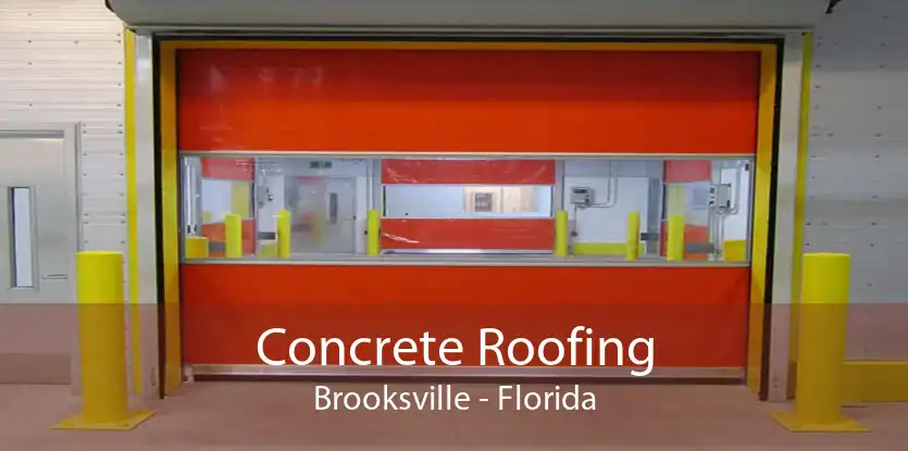 Concrete Roofing Brooksville - Florida