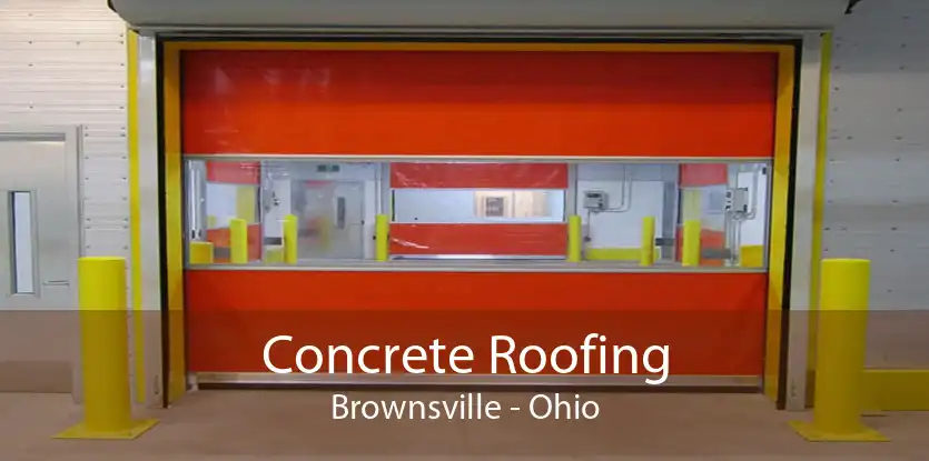 Concrete Roofing Brownsville - Ohio