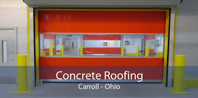 Concrete Roofing Carroll - Ohio