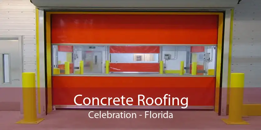 Concrete Roofing Celebration - Florida