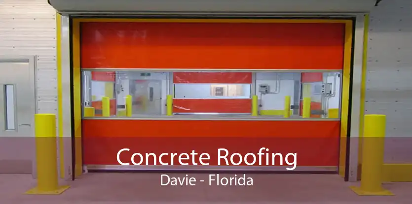 Concrete Roofing Davie - Florida
