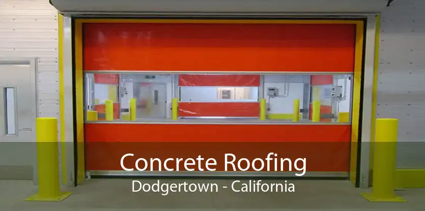 Concrete Roofing Dodgertown - California