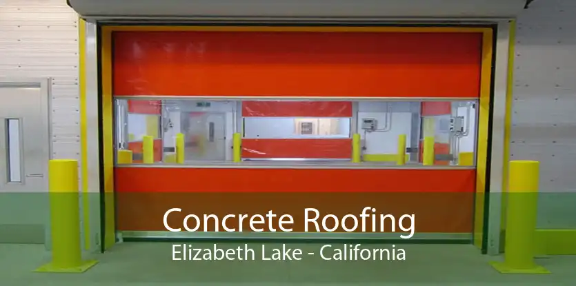 Concrete Roofing Elizabeth Lake - California