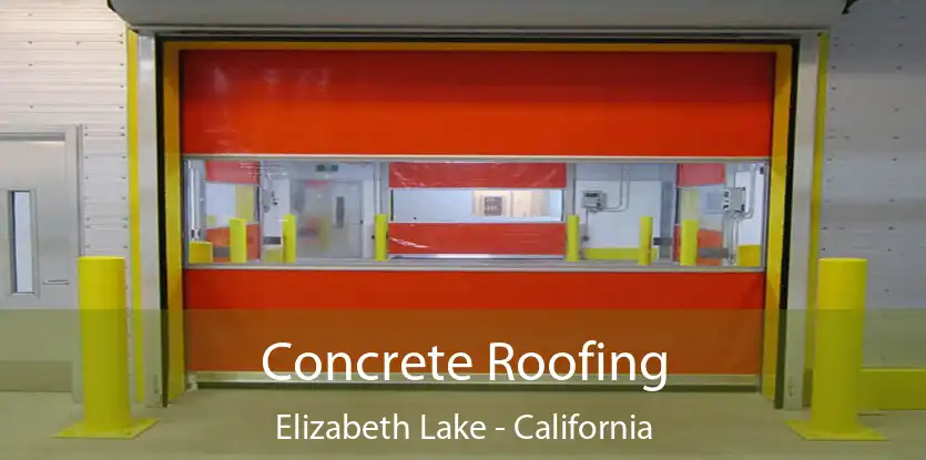 Concrete Roofing Elizabeth Lake - California