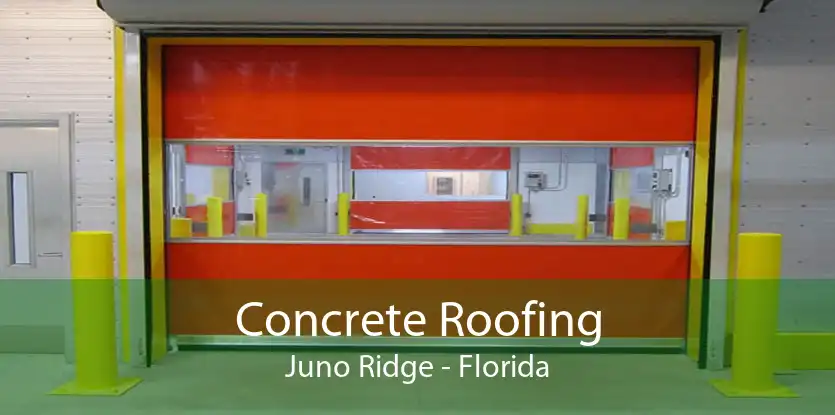 Concrete Roofing Juno Ridge - Florida