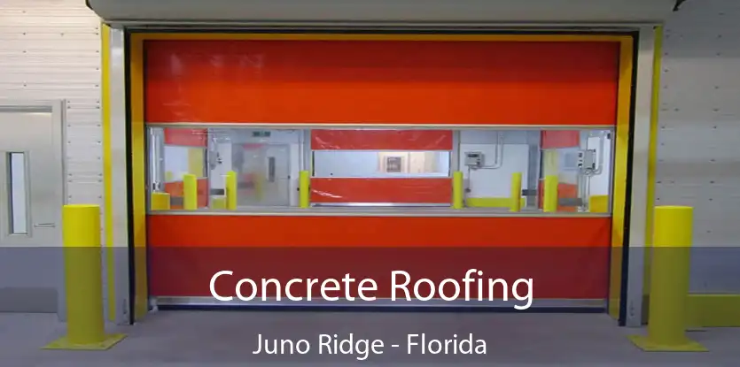 Concrete Roofing Juno Ridge - Florida