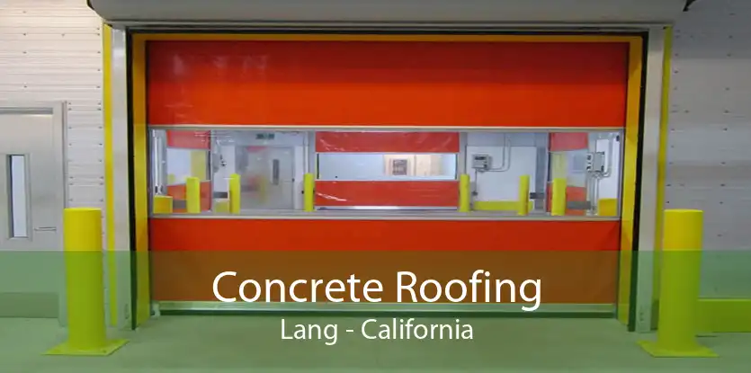Concrete Roofing Lang - California
