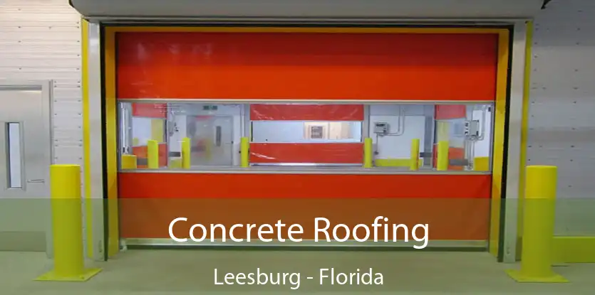 Concrete Roofing Leesburg - Florida