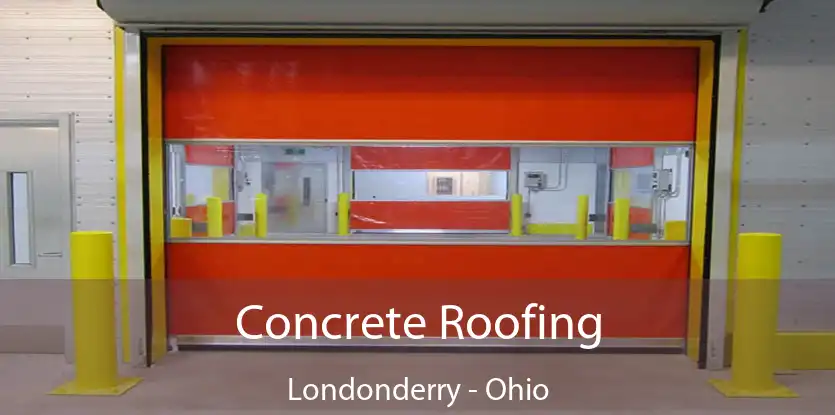 Concrete Roofing Londonderry - Ohio