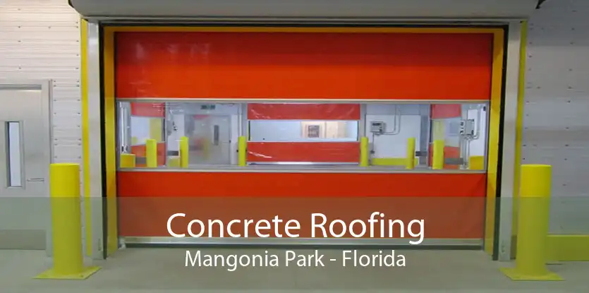 Concrete Roofing Mangonia Park - Florida