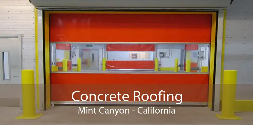 Concrete Roofing Mint Canyon - California