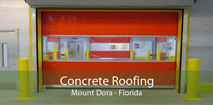 Concrete Roofing Mount Dora - Florida