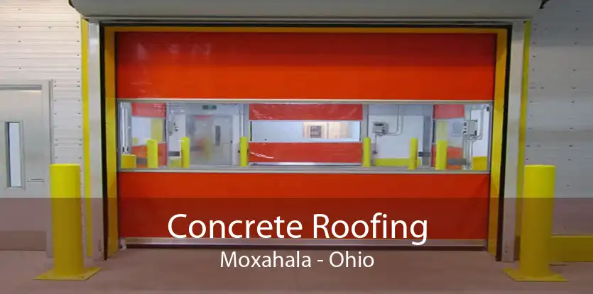 Concrete Roofing Moxahala - Ohio