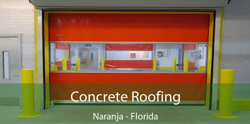 Concrete Roofing Naranja - Florida