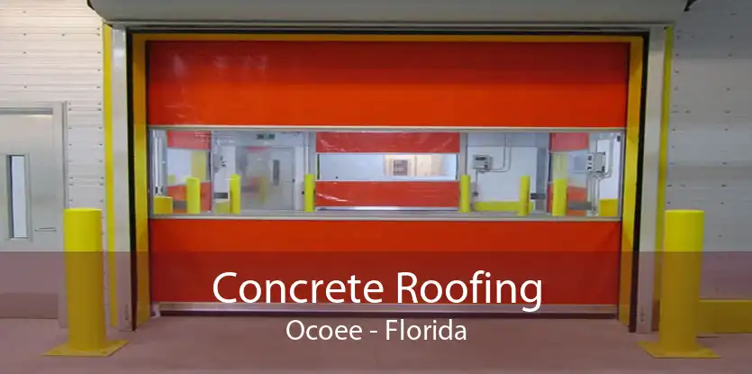 Concrete Roofing Ocoee - Florida