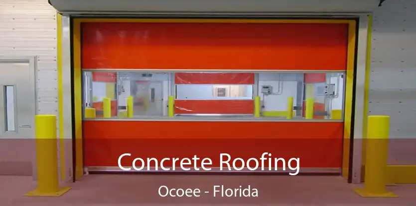 Concrete Roofing Ocoee - Florida