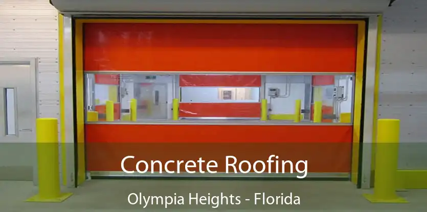 Concrete Roofing Olympia Heights - Florida