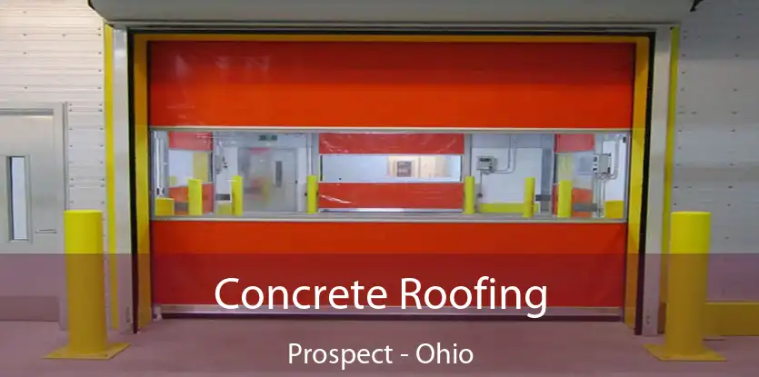 Concrete Roofing Prospect - Ohio