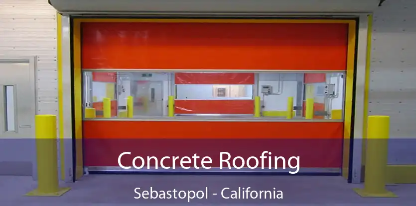 Concrete Roofing Sebastopol - California