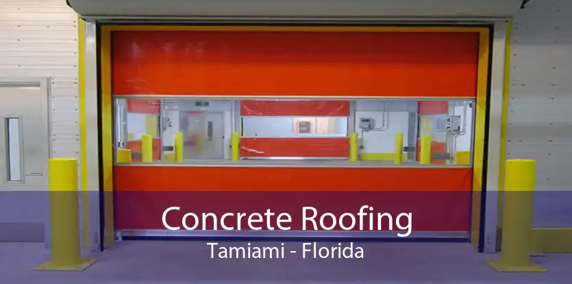 Concrete Roofing Tamiami - Florida