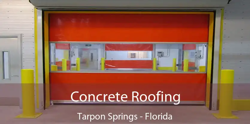 Concrete Roofing Tarpon Springs - Florida