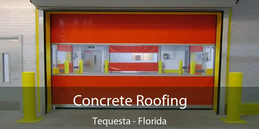 Concrete Roofing Tequesta - Florida