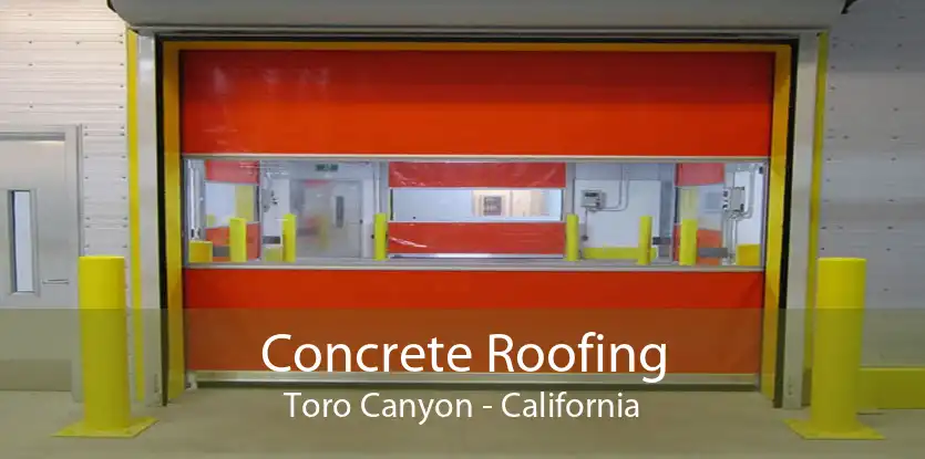 Concrete Roofing Toro Canyon - California