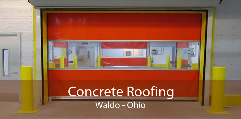 Concrete Roofing Waldo - Ohio