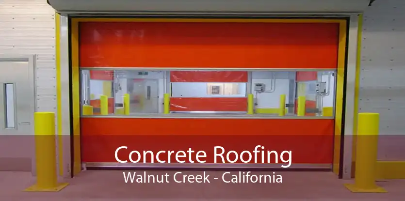 Concrete Roofing Walnut Creek - California