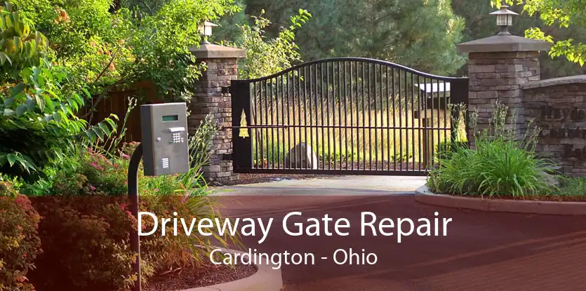 Driveway Gate Repair Cardington - Ohio