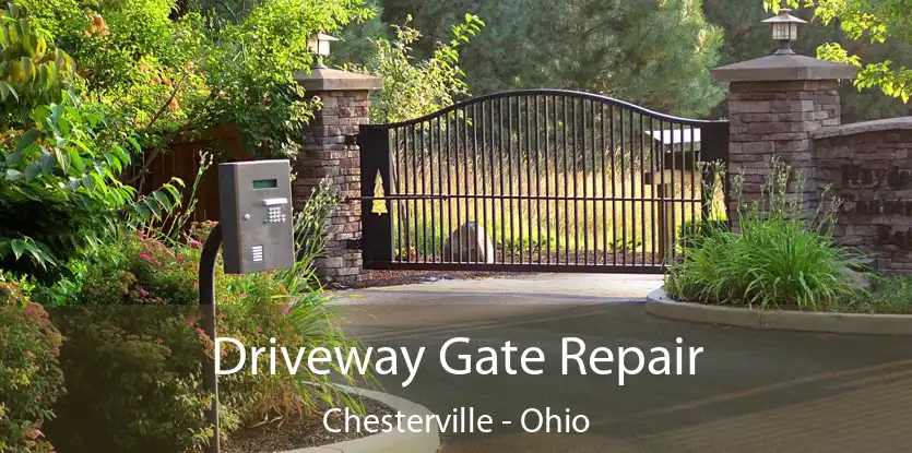 Driveway Gate Repair Chesterville - Ohio