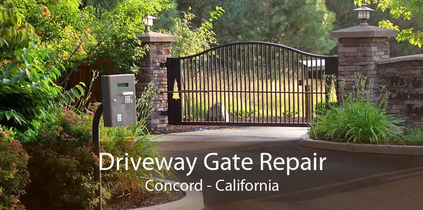 Driveway Gate Repair Concord - California