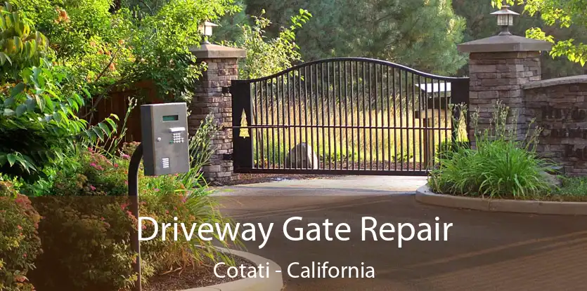 Driveway Gate Repair Cotati - California