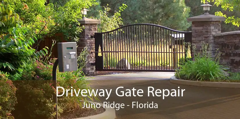 Driveway Gate Repair Juno Ridge - Florida