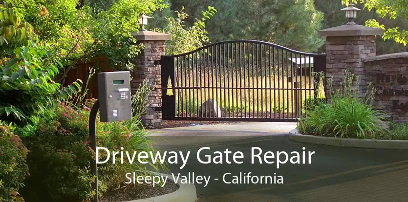 Driveway Gate Repair Sleepy Valley - California