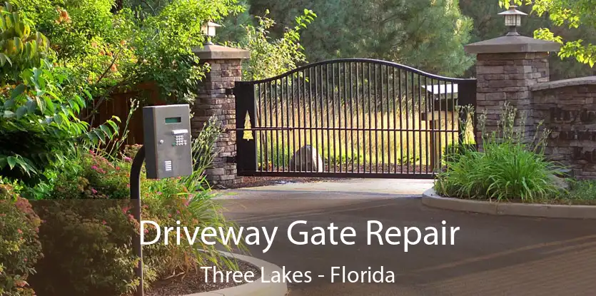 Driveway Gate Repair Three Lakes - Florida