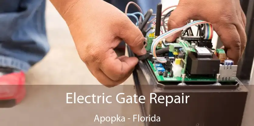 Electric Gate Repair Apopka - Florida