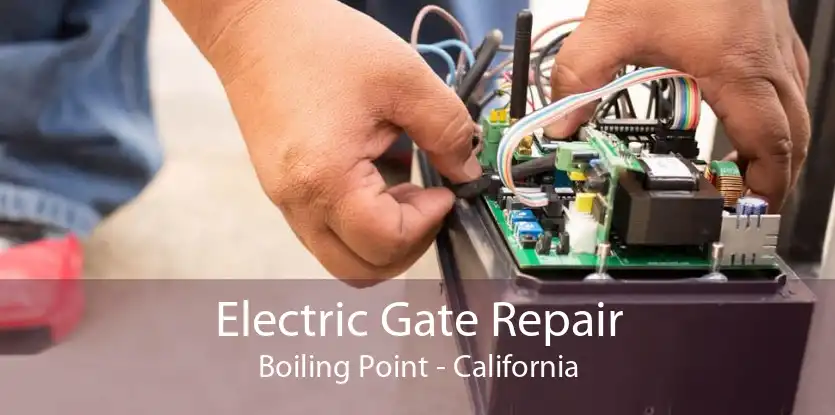 Electric Gate Repair Boiling Point - California