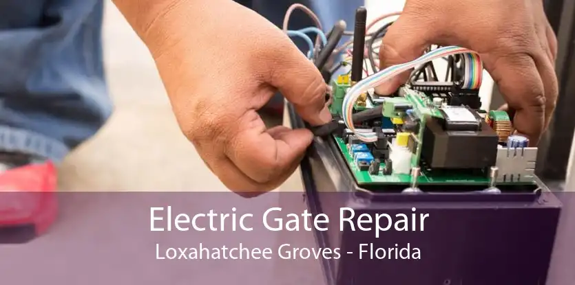 Electric Gate Repair Loxahatchee Groves - Florida