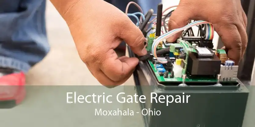Electric Gate Repair Moxahala - Ohio
