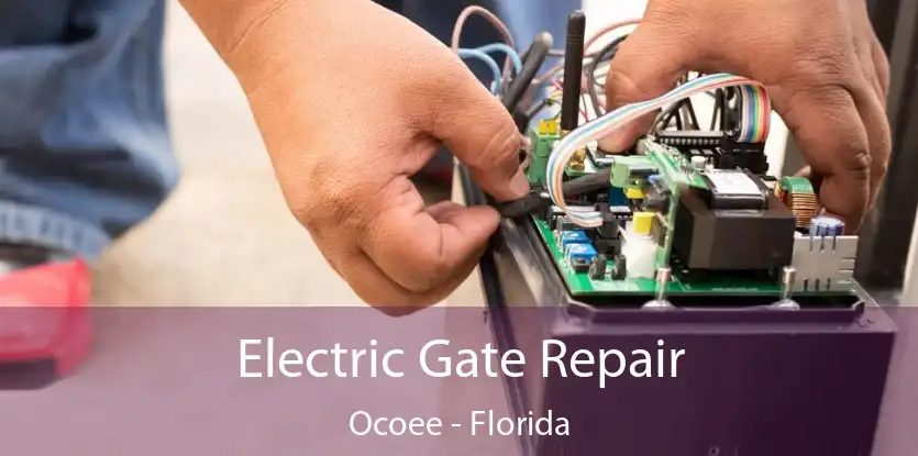 Electric Gate Repair Ocoee - Florida