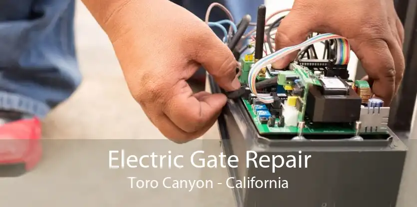 Electric Gate Repair Toro Canyon - California