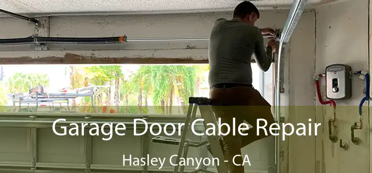  Garage Door Cable Repair Hasley Canyon - CA