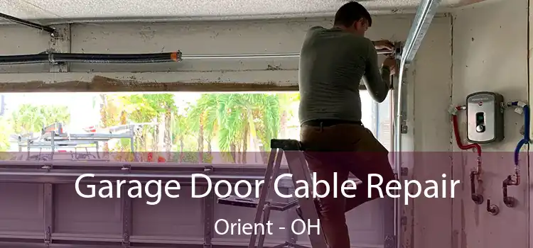  Garage Door Cable Repair Orient - OH