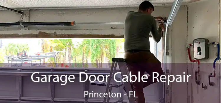  Garage Door Cable Repair Princeton - FL