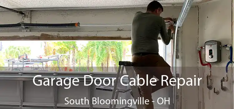  Garage Door Cable Repair South Bloomingville - OH
