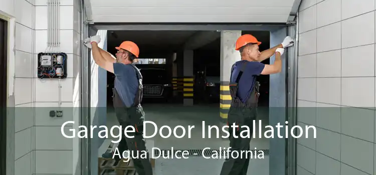 Garage Door Installation Agua Dulce - California